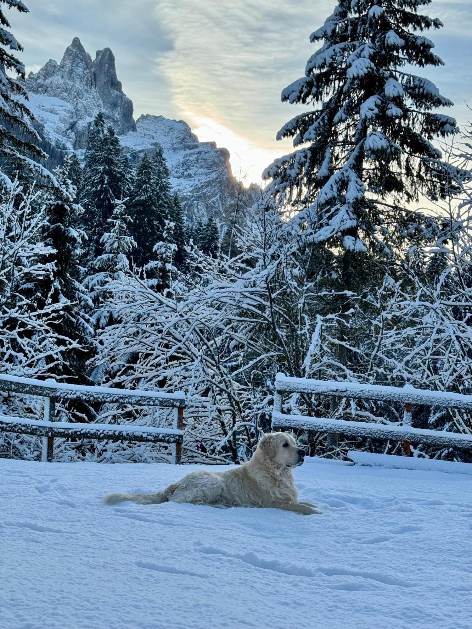 Hotel Europa San Martino Di Castrozza Esterno foto